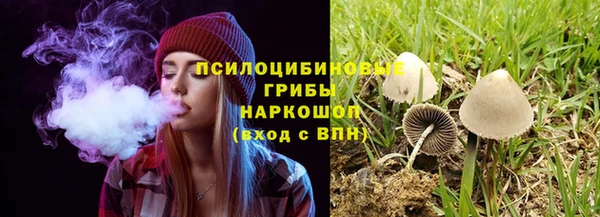 синтетический гашиш Заводоуковск