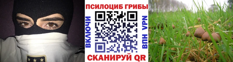 Псилоцибиновые грибы ЛСД  Суоярви 