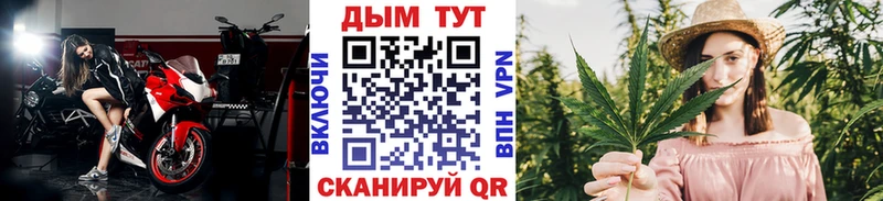 Бошки Шишки индика  Суоярви 